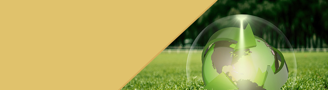 产品品牌化，，，出新品、出优品、出精品